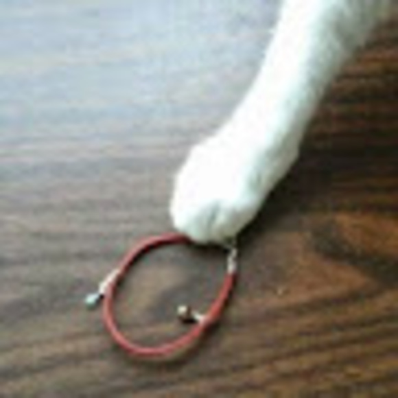 Meet your Posher, Allison - Picture 1 of 1